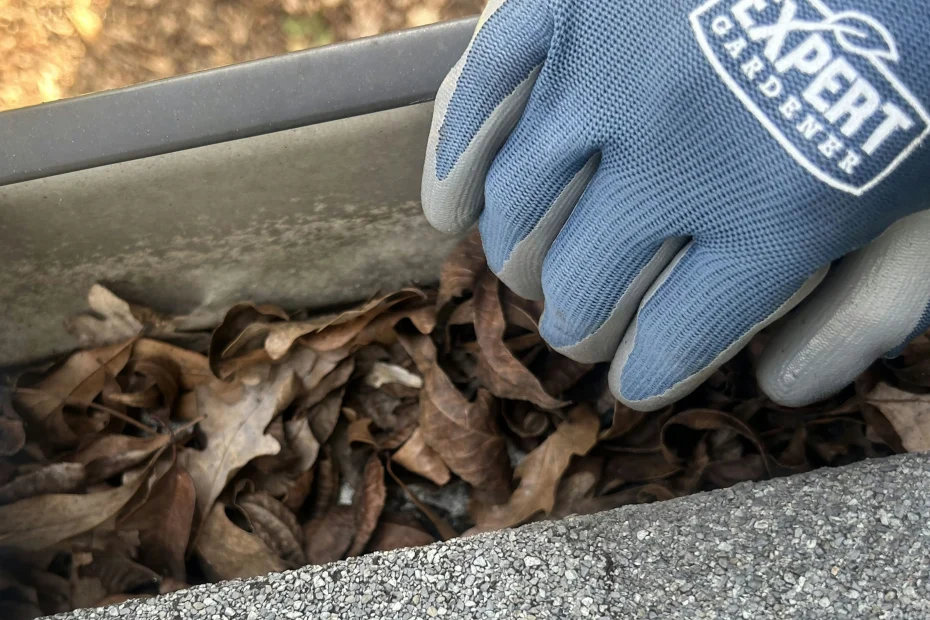 Gutter Cleaning Madison Crossroads