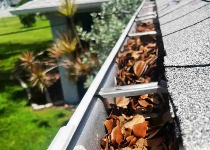 Gutter Cleaning Madison Crossroads home page